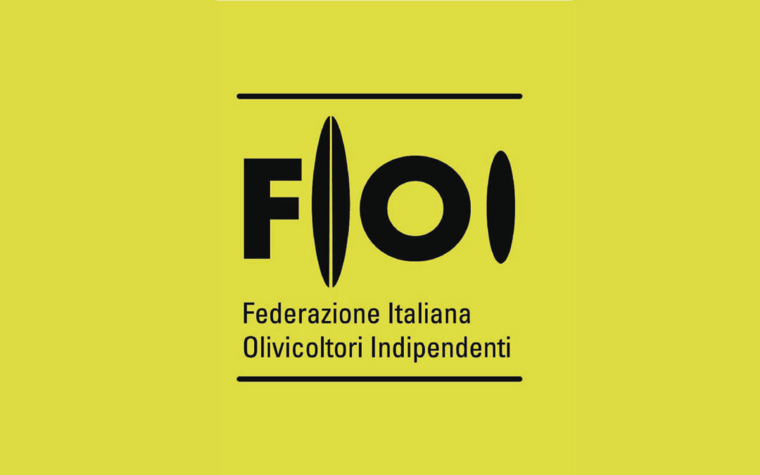 FIOI: ci hanno accolto in famiglia!